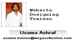 Trainee Usama Ashraf